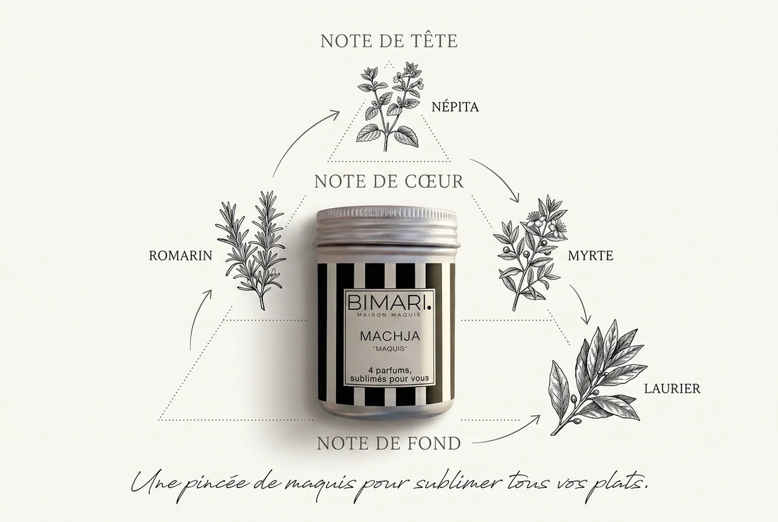 MACHJA Bimari, mélange bio de romarin, népita, laurier et myrte de Corse