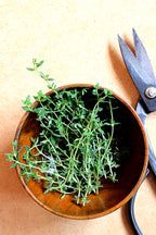 Mélange herbes du maquis